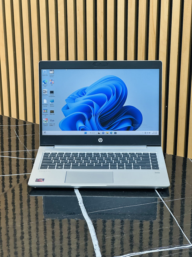 لپ تاپ استوک hp probook445 g7 CPU:RYZEN5 RAM:16 SSD:256